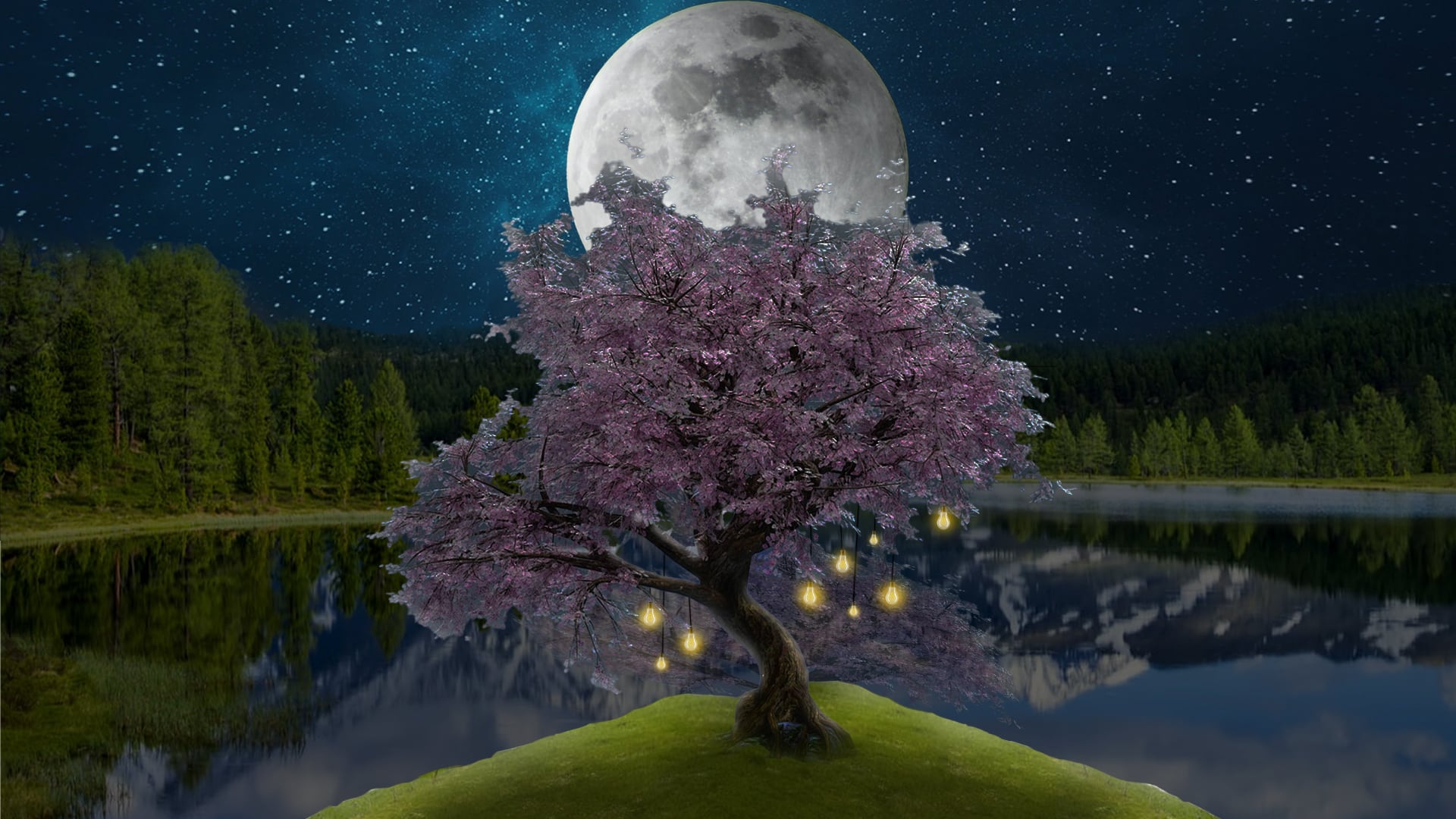 Blossom tree near lake at night with moon